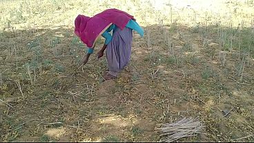 देसी इंडियन बॉयफ्रेंड ने खेत में काम करती हुई उसकी मस्त चुदाई की