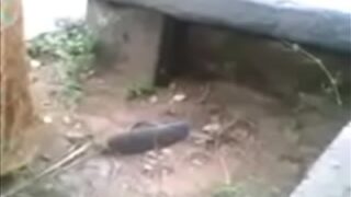 Video Mesum Desi Di Luar Rumah, Si Istri Jalang Main Sama Selingkuhannya