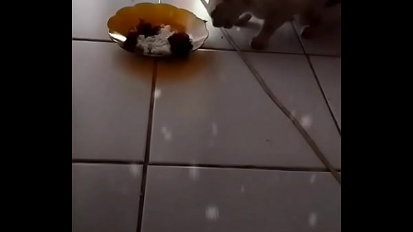 Anita, Si Cewek Seksi Yang Bikin Lo Ngiler Dari Ujung Rambut Sampai Ujung Kaki.